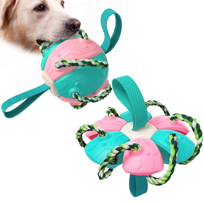 PELOTA FRESBEE PARA PERROS