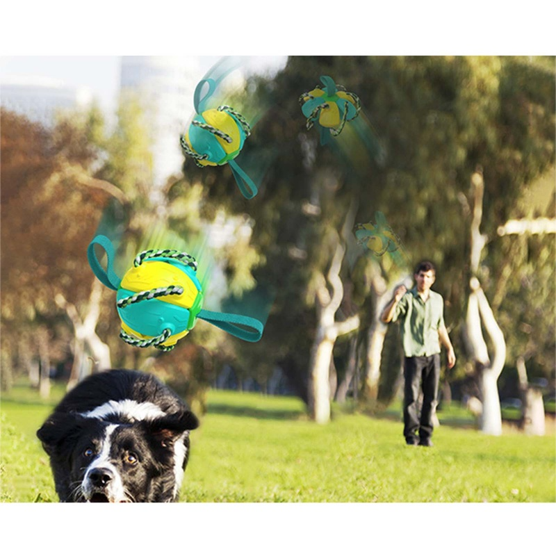 PELOTA FRESBEE PARA PERROS